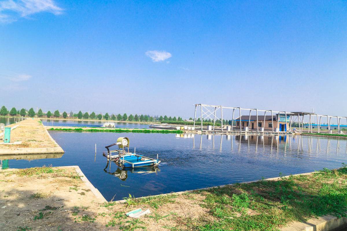 云南澤野農業(yè)有限責任公司-云南能投軍創(chuàng  )產(chǎn)業(yè)投資有限公司