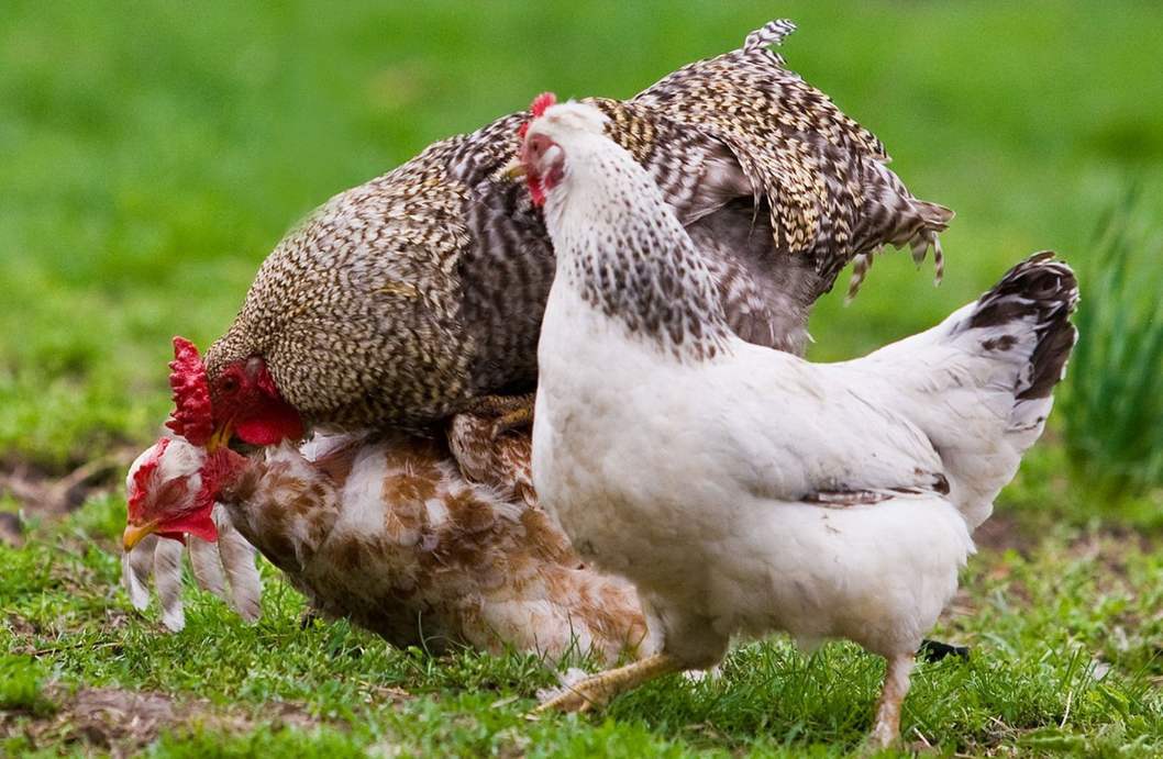 德宏州-云南能投軍創(chuàng  )產(chǎn)業(yè)投資有限公司