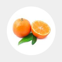 水果-云南能投軍創(chuàng  )產(chǎn)業(yè)投資有限公司