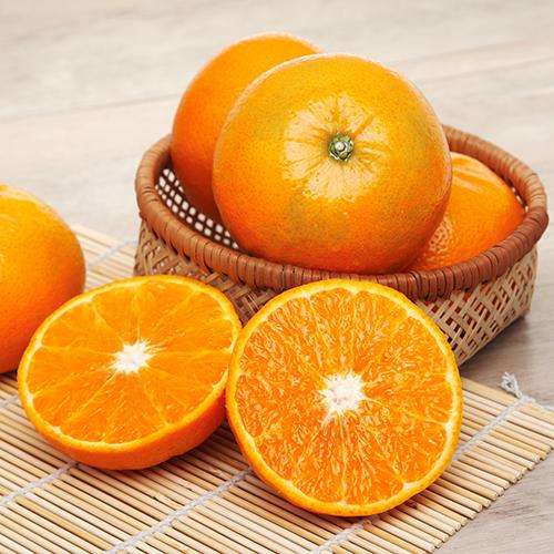 新平瑛瑋果業(yè)有限公司-云南能投軍創(chuàng  )產(chǎn)業(yè)投資有限公司