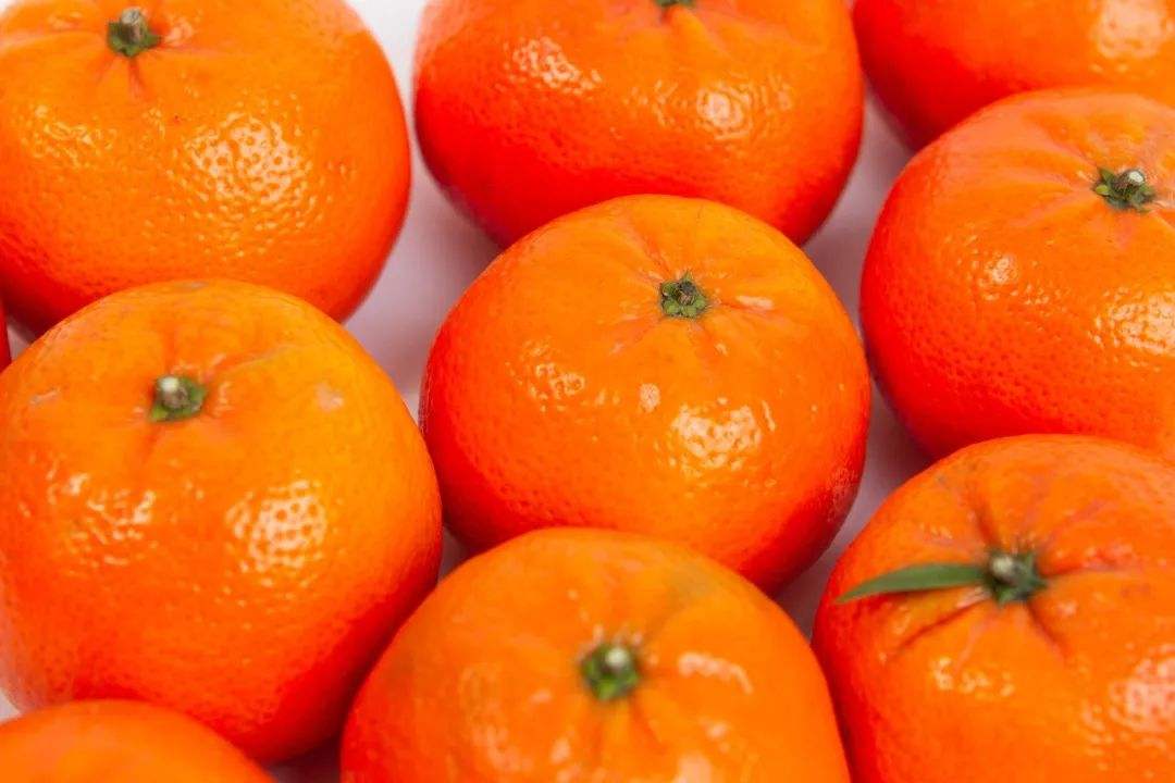 新平瑛瑋果業(yè)有限公司-云南能投軍創(chuàng  )產(chǎn)業(yè)投資有限公司