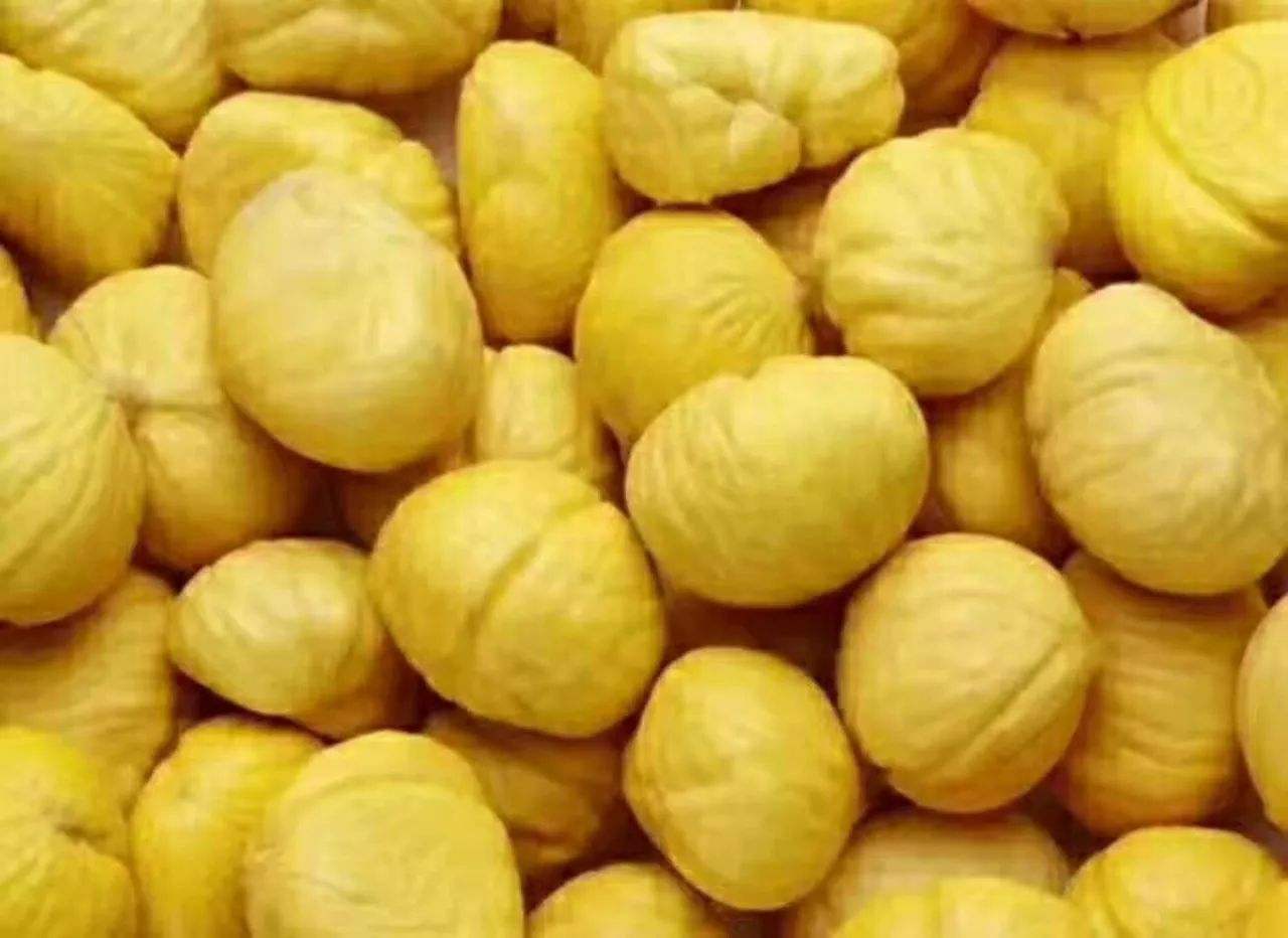 板栗種植銷(xiāo)售-云南能投軍創(chuàng  )產(chǎn)業(yè)投資有限公司