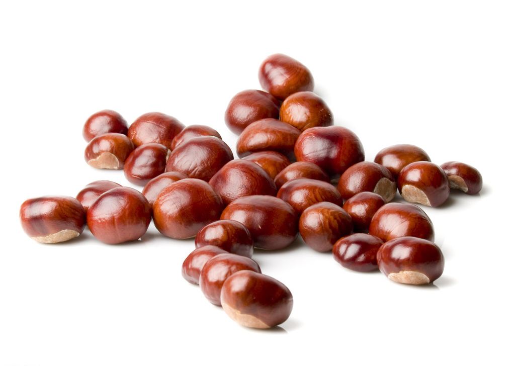 板栗種植銷(xiāo)售-云南能投軍創(chuàng  )產(chǎn)業(yè)投資有限公司