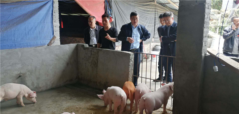 細微之處暖人心 貴州省退役軍人事務(wù)廳31萬(wàn)捐贈物資解幫扶村72戶(hù)未脫貧戶(hù)生活之困-云南能投軍創(chuàng  )產(chǎn)業(yè)投資有限公司