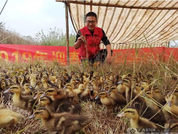 廣西樹(shù)起決戰決勝脫貧攻堅“軍”字招牌-云南能投軍創(chuàng  )產(chǎn)業(yè)投資有限公司