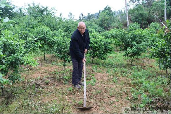 廣西樹(shù)起決戰決勝脫貧攻堅“軍”字招牌-云南能投軍創(chuàng  )產(chǎn)業(yè)投資有限公司