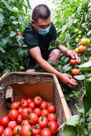這個(gè)56人的退役軍人“保障隊”，暖心！-云南能投軍創(chuàng  )產(chǎn)業(yè)投資有限公司