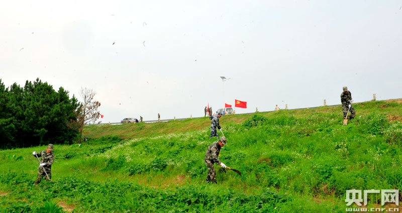 江西南昌縣：為防汛抗洪鑄起了一道“迷彩堤壩”-云南能投軍創(chuàng  )產(chǎn)業(yè)投資有限公司