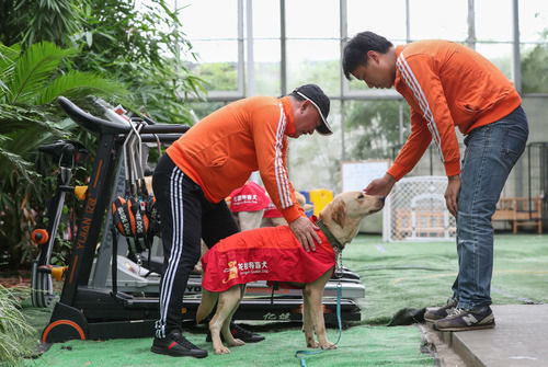 “犬司令”的助殘夢(mèng)——退役軍人孫龍根的創(chuàng  )業(yè)故事-云南能投軍創(chuàng  )產(chǎn)業(yè)投資有限公司