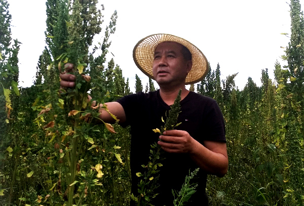 馬謙：從“愛(ài)兵模范”到“愛(ài)民書(shū)記”，扶貧路上真情依然-云南能投軍創(chuàng  )產(chǎn)業(yè)投資有限公司