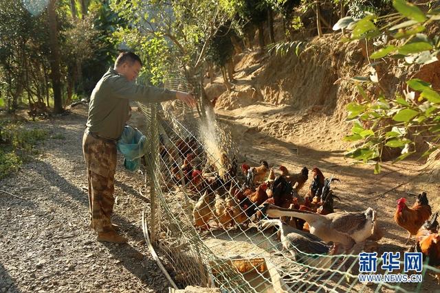 賈東亮：“空降農民”扎根鄉村寫(xiě)春秋-云南能投軍創(chuàng  )產(chǎn)業(yè)投資有限公司