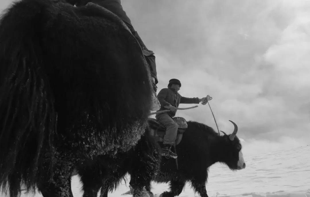 冰窟救人犧牲！送別全國愛(ài)國擁軍模范拉齊尼·巴依卡！-云南能投軍創(chuàng  )產(chǎn)業(yè)投資有限公司