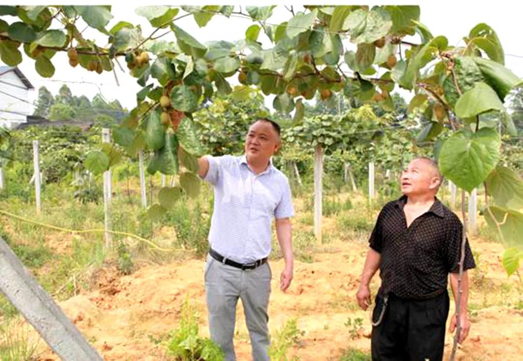 徐大全：川西壩子的“兵支書(shū)”，美麗鄉村建設領(lǐng)頭人-云南能投軍創(chuàng  )產(chǎn)業(yè)投資有限公司