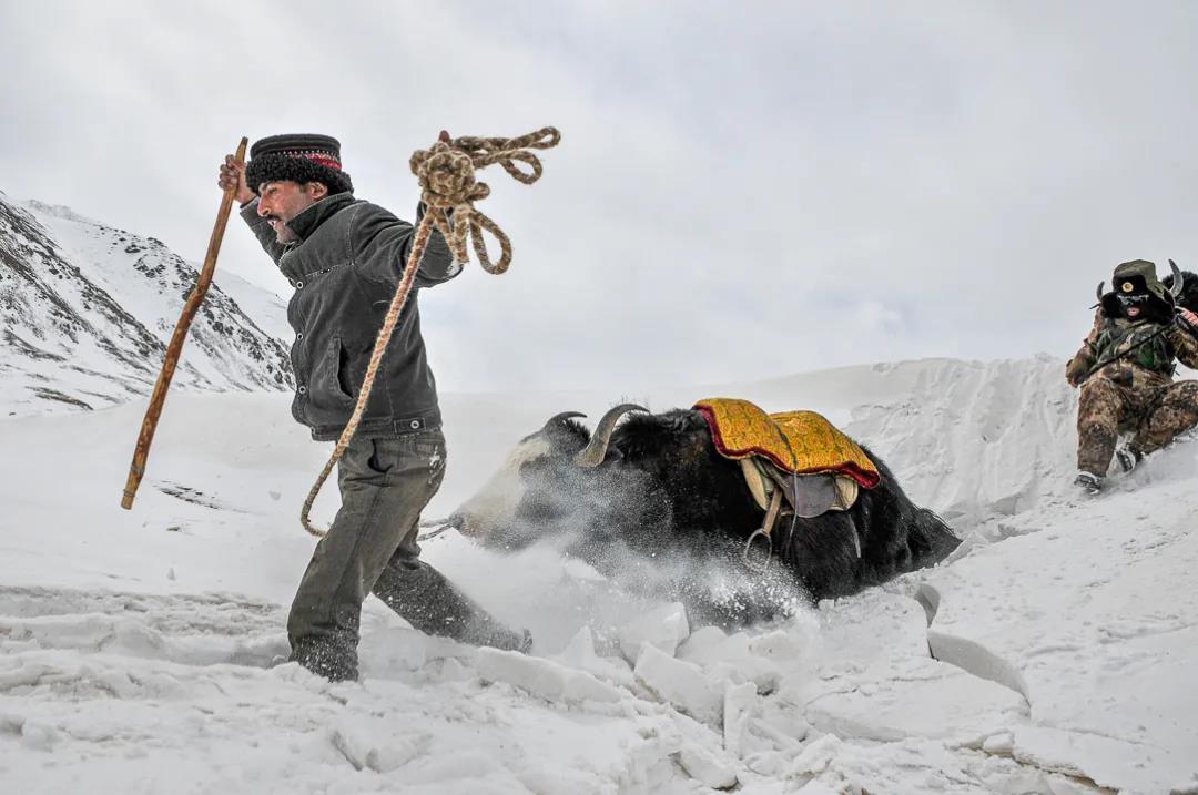 紀念我的戰友，拉齊尼·巴依卡-云南能投軍創(chuàng  )產(chǎn)業(yè)投資有限公司