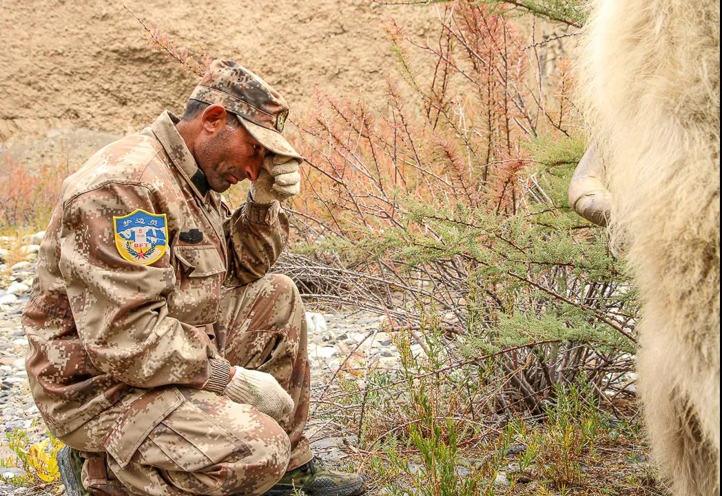 紀念我的戰友，拉齊尼·巴依卡-云南能投軍創(chuàng  )產(chǎn)業(yè)投資有限公司