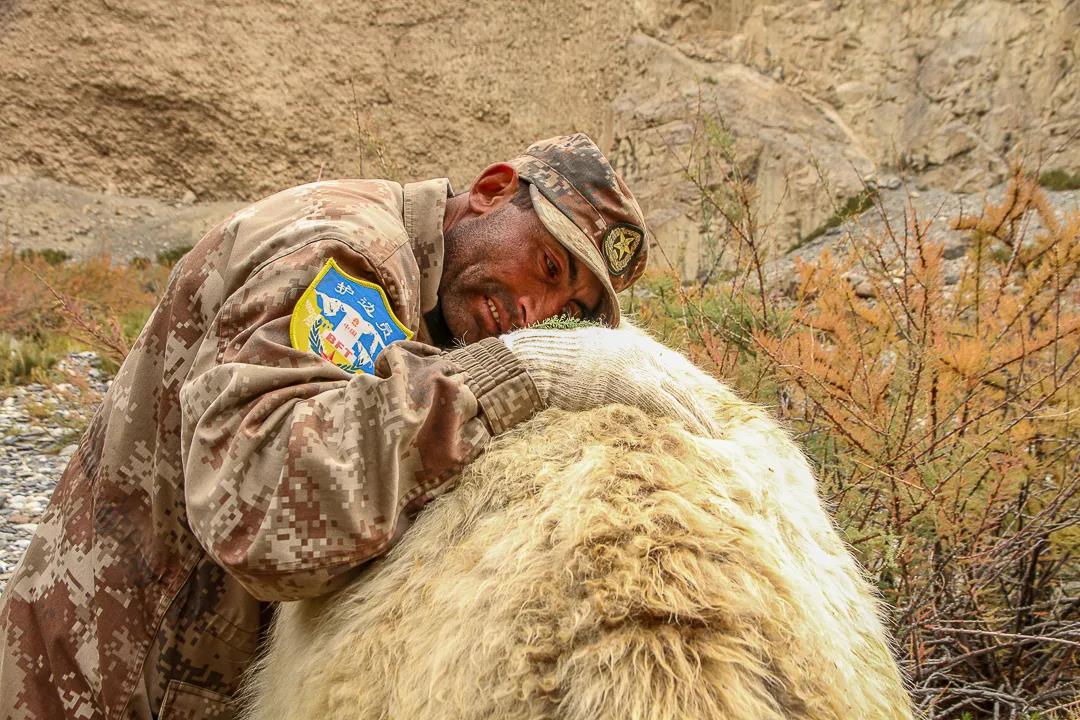 紀念我的戰友，拉齊尼·巴依卡-云南能投軍創(chuàng  )產(chǎn)業(yè)投資有限公司