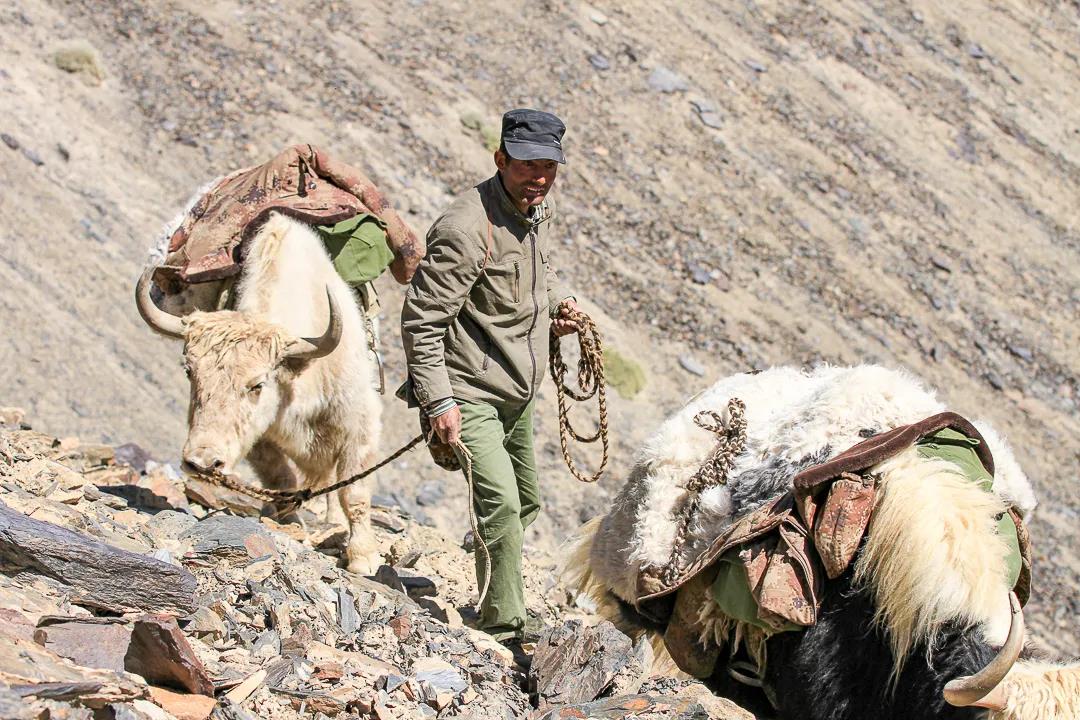 紀念我的戰友，拉齊尼·巴依卡-云南能投軍創(chuàng  )產(chǎn)業(yè)投資有限公司