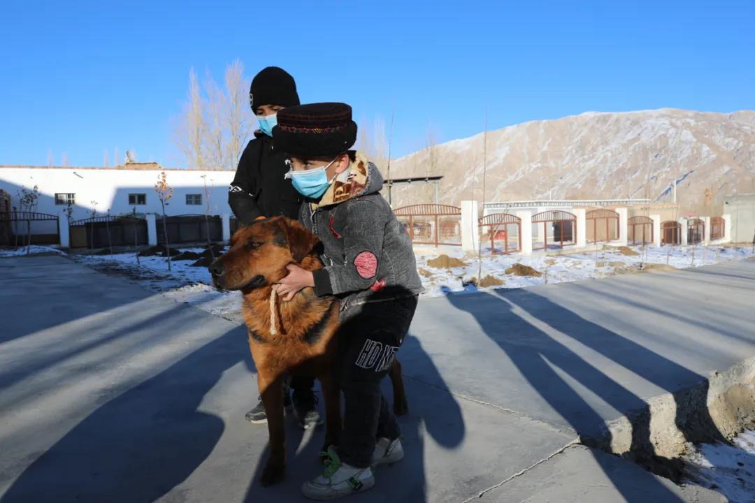 紀念我的戰友，拉齊尼·巴依卡-云南能投軍創(chuàng  )產(chǎn)業(yè)投資有限公司