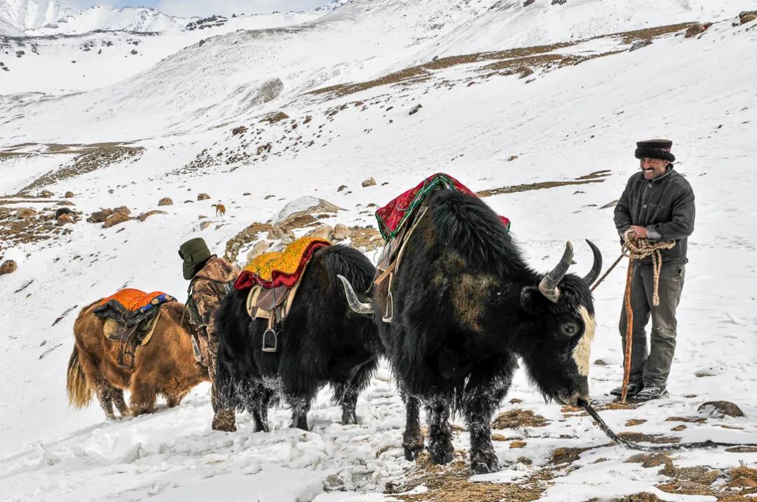 紀念我的戰友，拉齊尼·巴依卡-云南能投軍創(chuàng  )產(chǎn)業(yè)投資有限公司