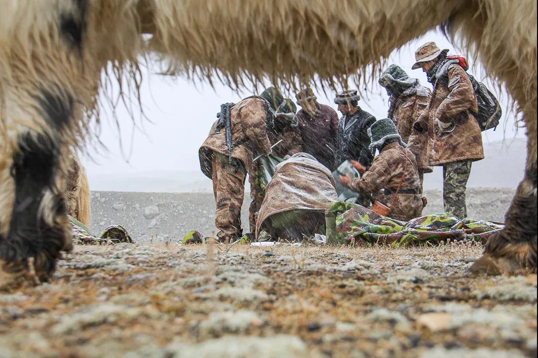 紀念我的戰友，拉齊尼·巴依卡-云南能投軍創(chuàng  )產(chǎn)業(yè)投資有限公司