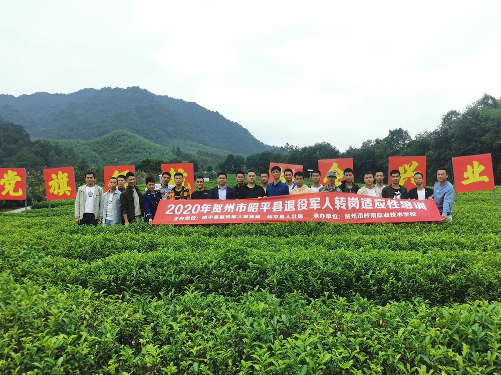 廣西多措并舉為退役軍人上好進(jìn)入社會(huì )“第一課”-云南能投軍創(chuàng  )產(chǎn)業(yè)投資有限公司