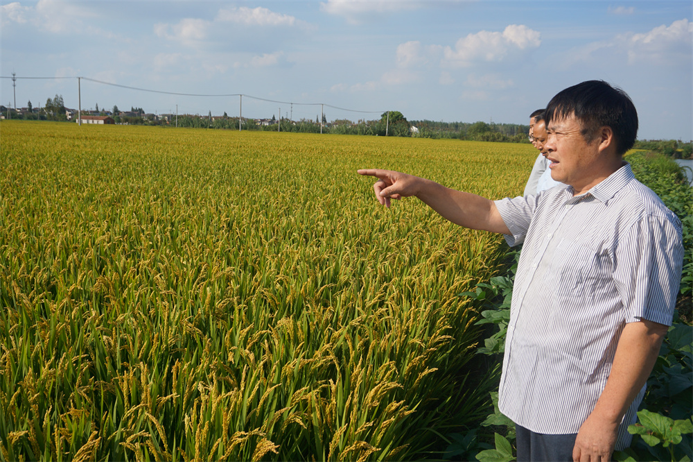 “兵支書(shū)”扎根鄉村30年，當好脫貧致富帶頭人-云南能投軍創(chuàng  )產(chǎn)業(yè)投資有限公司