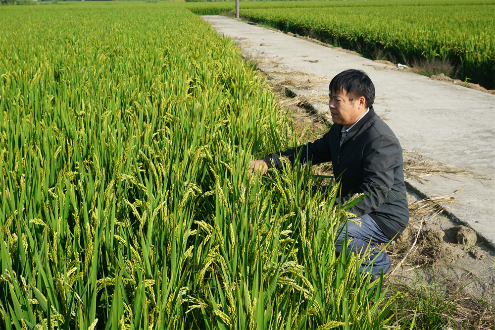 “兵支書(shū)”扎根鄉村30年，當好脫貧致富帶頭人-云南能投軍創(chuàng  )產(chǎn)業(yè)投資有限公司