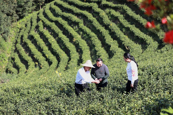 貴州劍河：上陣“父子兵” 逐夢(mèng)前行不停歇-云南能投軍創(chuàng  )產(chǎn)業(yè)投資有限公司