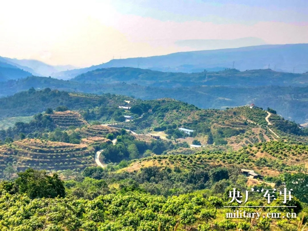 胡洪超：讓5000畝荒山迎來(lái)金芒果的春天-云南能投軍創(chuàng  )產(chǎn)業(yè)投資有限公司