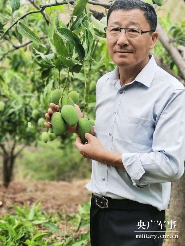 胡洪超：讓5000畝荒山迎來(lái)金芒果的春天-云南能投軍創(chuàng  )產(chǎn)業(yè)投資有限公司