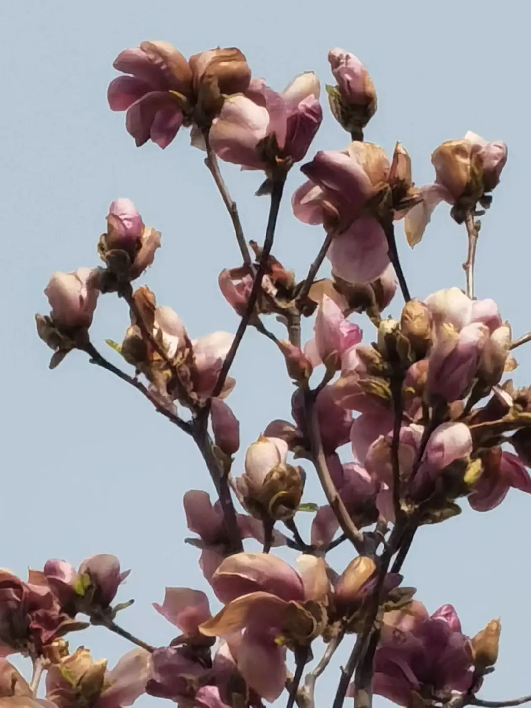 我們的好鄰居王樹(shù)聲大將-云南能投軍創(chuàng  )產(chǎn)業(yè)投資有限公司