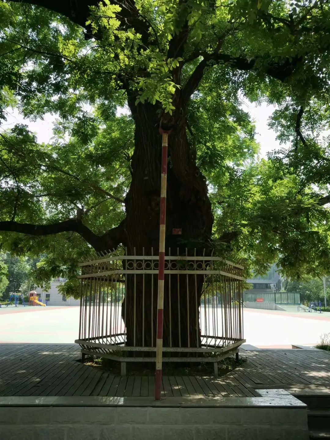 我們的好鄰居王樹(shù)聲大將-云南能投軍創(chuàng  )產(chǎn)業(yè)投資有限公司