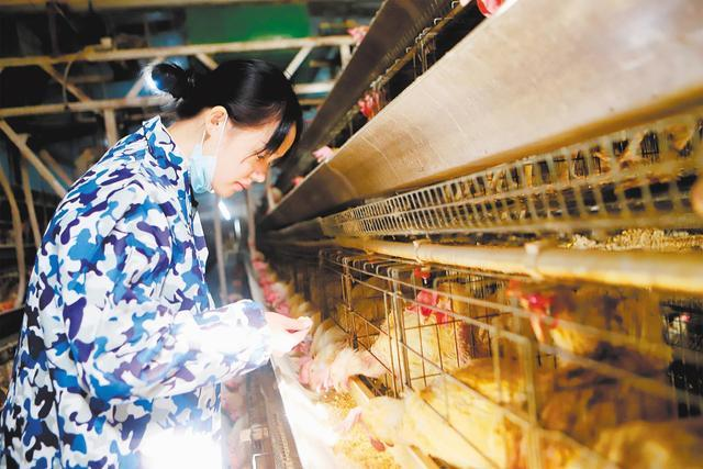 了不起！這群退役女兵在平凡崗位上做出了不平凡的業(yè)績(jì)-云南能投軍創(chuàng  )產(chǎn)業(yè)投資有限公司