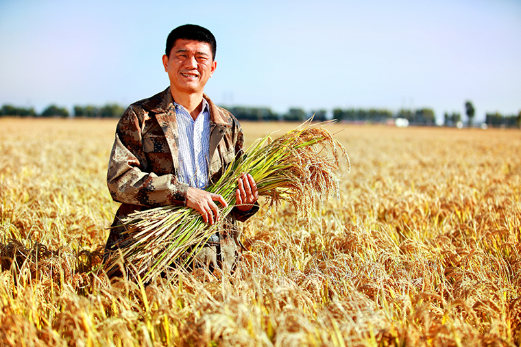 周曉東：一個(gè)最美退役軍人的“戰豆”溯源-云南能投軍創(chuàng  )產(chǎn)業(yè)投資有限公司