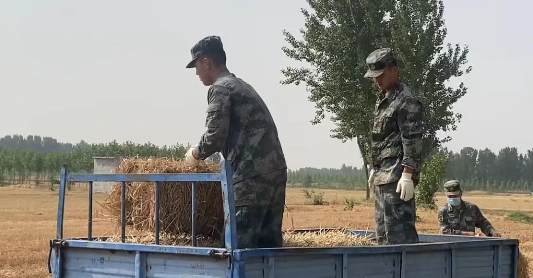 肖思遠父母為啥偷偷收麥子？真相是……-云南能投軍創(chuàng  )產(chǎn)業(yè)投資有限公司