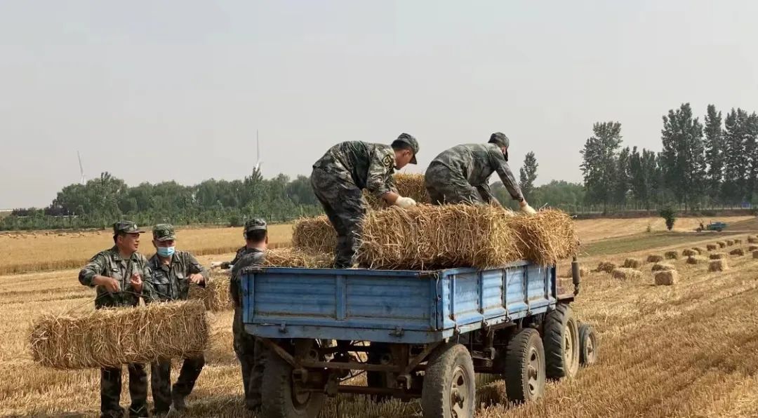 肖思遠父母為啥偷偷收麥子？真相是……-云南能投軍創(chuàng  )產(chǎn)業(yè)投資有限公司