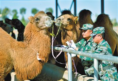大漠深處，五星紅旗高高飄揚！-云南能投軍創(chuàng  )產(chǎn)業(yè)投資有限公司