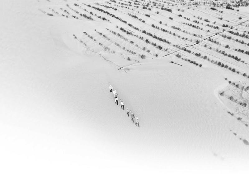 誓將荒漠變綠洲——沙海里，有群“播綠”的老兵-云南能投軍創(chuàng  )產(chǎn)業(yè)投資有限公司