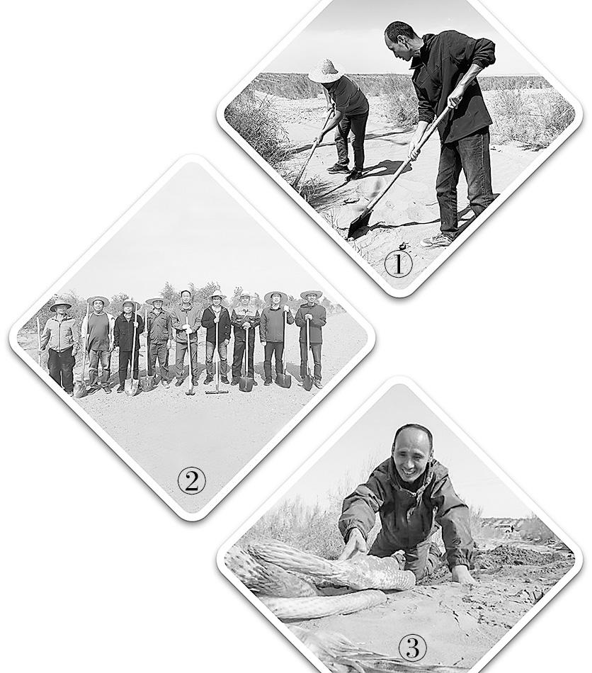 誓將荒漠變綠洲——沙海里，有群“播綠”的老兵-云南能投軍創(chuàng  )產(chǎn)業(yè)投資有限公司