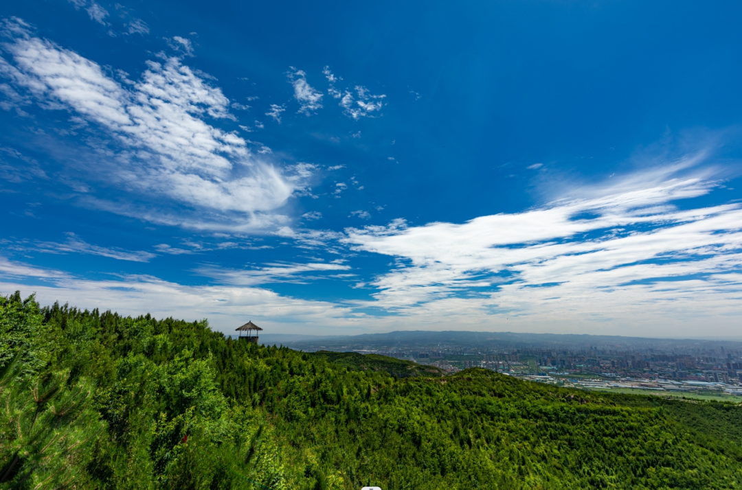 解放軍報：一個(gè)人，一座山，一片綠——記老兵張俊平-云南能投軍創(chuàng  )產(chǎn)業(yè)投資有限公司