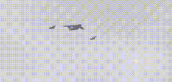 新華社：老師，那是什么？-云南能投軍創(chuàng  )產(chǎn)業(yè)投資有限公司