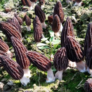 昭通市-云南能投軍創(chuàng  )產(chǎn)業(yè)投資有限公司